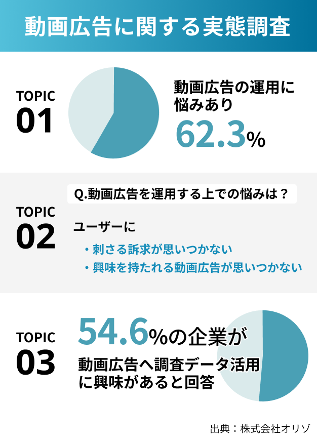 動画広告に関する実態調査